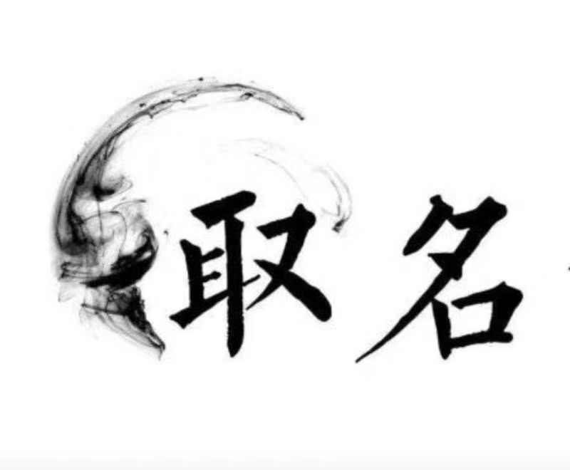  谯城宝宝取名 大师一对一人工起名
